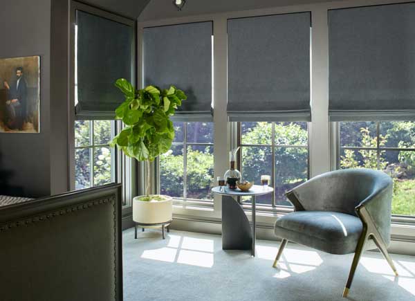 Interior Motorized Shades In Lee County